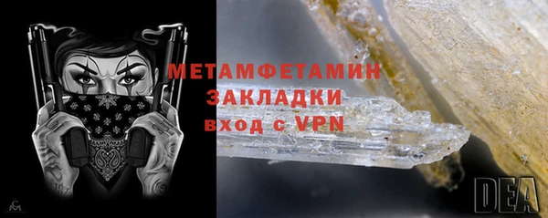 индика Зеленокумск