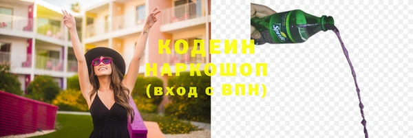 индика Зеленокумск