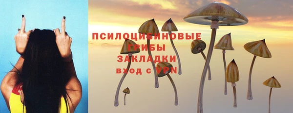 Альфа ПВП Зеленодольск