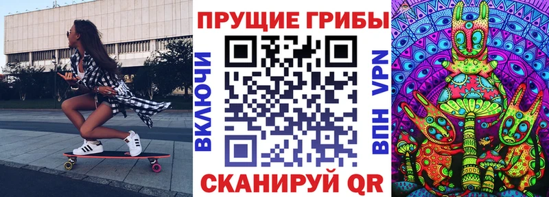 Купить закладки  Покровск  Галлюциногенные грибы мицелий 