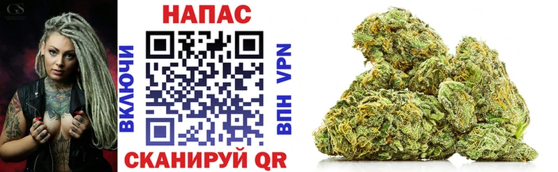 Купить где  Покровск  Канабис OG Kush 